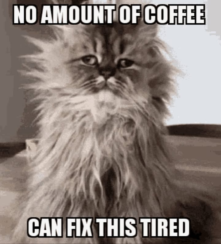 Feed Image