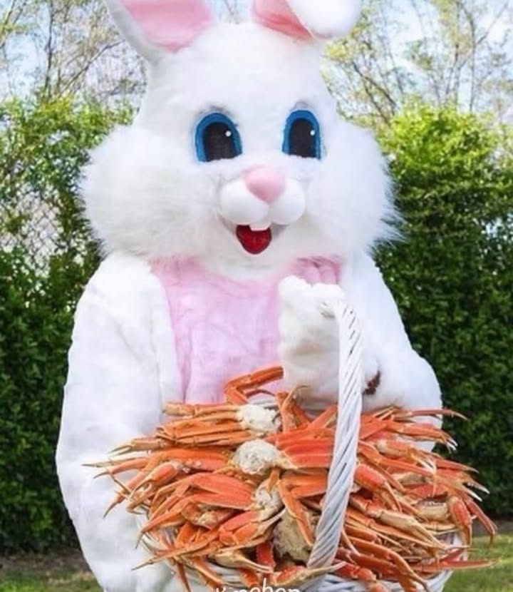 Feed Image