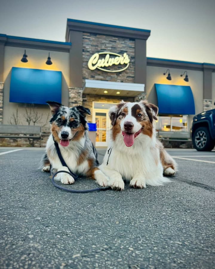 Feed Image